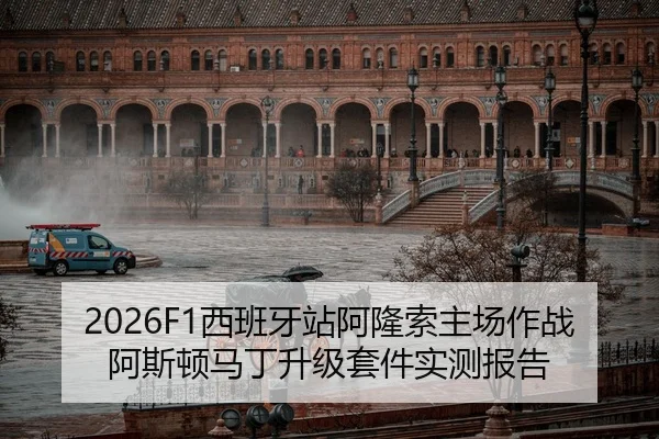 xi-ban-ya-zhan-a-long-suo-zhu-chang-zuo-zhan-a-si-dun-ma-ding-sheng-ji-tao-jian-shi-ce-bao-gao-2-334.jpg